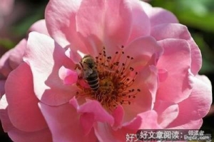 有关十三的句子
