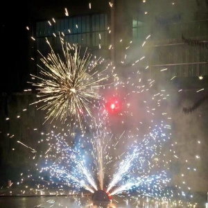 2021年最后一个月了