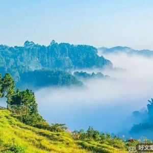 爱自己，就做自己生命的主人（好文）
