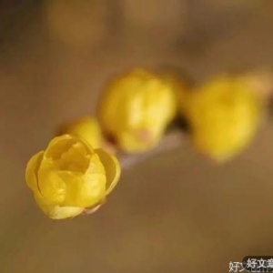 幸福不在富有，成熟无关年龄