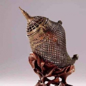 一只飞入鸽群的鹰