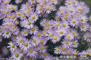 往事云散，枉情东流。好词好句
