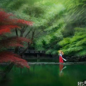 一个人最顶级的自律：寡言