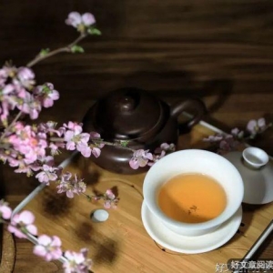 初冬，温一段缘分，念一个故人