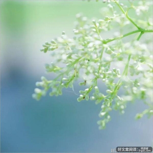 与你的邂逅，是一生的欢喜