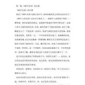 《不一样的兄弟》读后感锦集