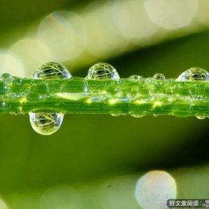 此生何所有，迎风向前走