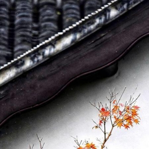 品人生百味，享生命芬芳
