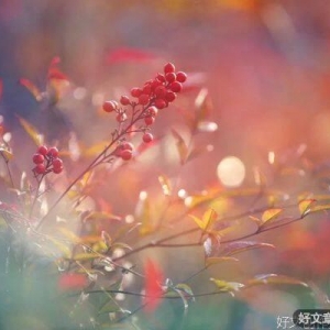 人，贵在诚，心在容，德在谦