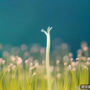 半生醒来，发现自己就老了