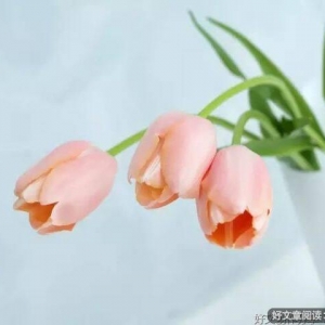 把心情，留给懂你的人！