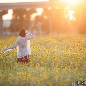 世间最好的养生：忘