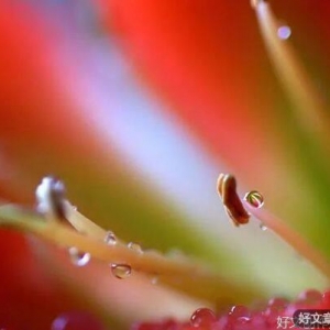 给心灵一点滋养，让心灵绽放光芒