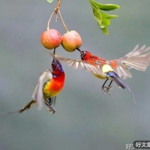 既然无法改变，不如坦然接受