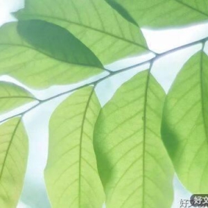 平常心看世界，欢喜心过生活