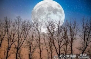 精华中的精华中的精华。名句欣赏