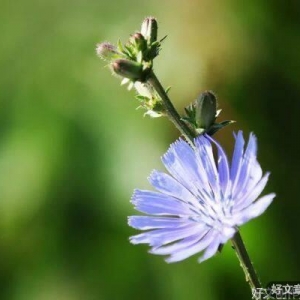 人生可以浓缩三句话
