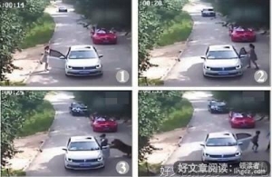 别人的动物园读后感摘抄