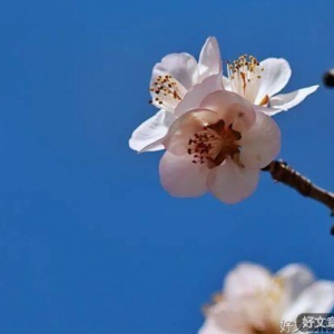 人活着，谁都不容易！