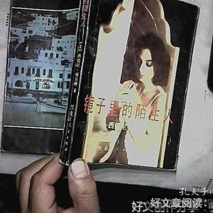 《镜子里的陌生人》读后感锦集