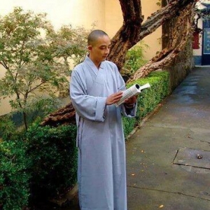晓落花优美的句子