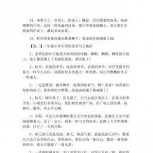 .的优美句子