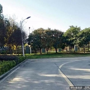 看来二舅是被那个老女人灌了迷魂汤，三年弄了二舅三十万