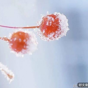 执笔问安，落雪为念