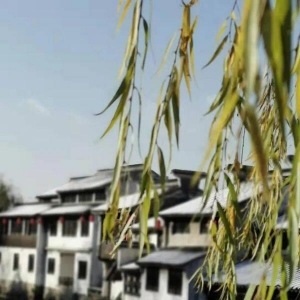 冬在等雪翩然而落，我在等你踏雪而来