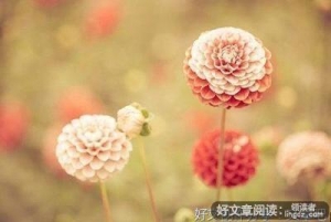感悟名句欣赏