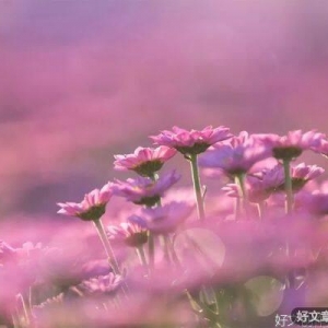 寄语2022，愿你的人生越来越温暖