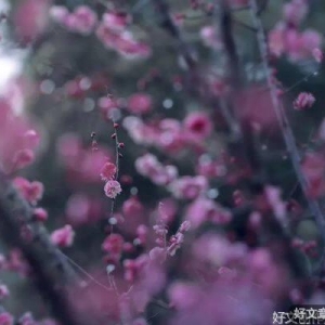 年末岁尾，时光依旧，岁月静好