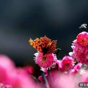 岁岁又一年，致自己