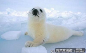 世间的美好事物句子大全