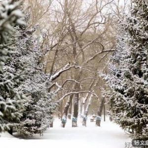 雪落人间，缱绻清欢
