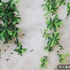 每天醒来，都是生命中最好的一天！