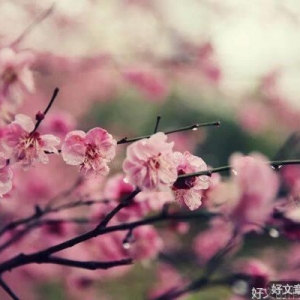 缘来随心，缘去随意