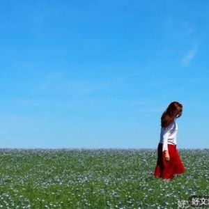 惜命的最好方式：拒绝情绪内耗