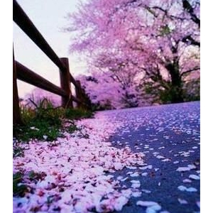《大哥》句子大全