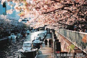 学习态度也是一种人生态度