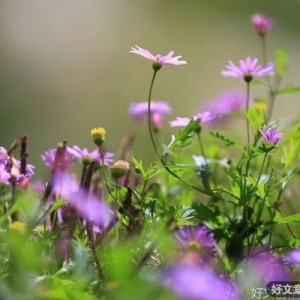 人，要知分寸，懂换位（火了）