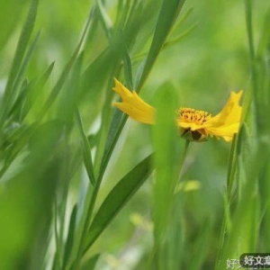 能在这三种时候联系你的男人，无需怀疑，一定深爱着你