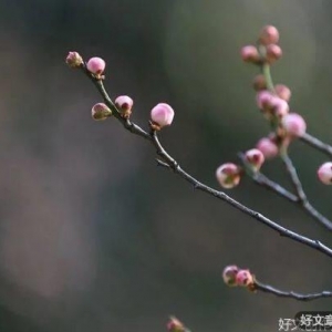 人生下半场，请牢记这四句话