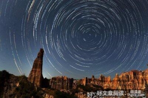《鲵鱼之乱》读后感1000字