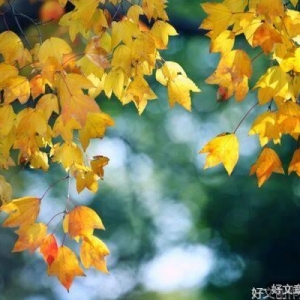 我不是最好的，却是你再也遇不到的