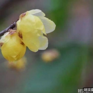 把生活变美，是一种能力