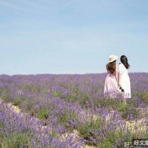 生活苦，要和甜的人在一起