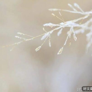 品行，是一个人最好的通行证