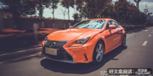 《长天长镜头》的读后感大全