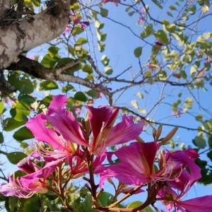 做自己的太阳，无需凭借谁的光（好文）